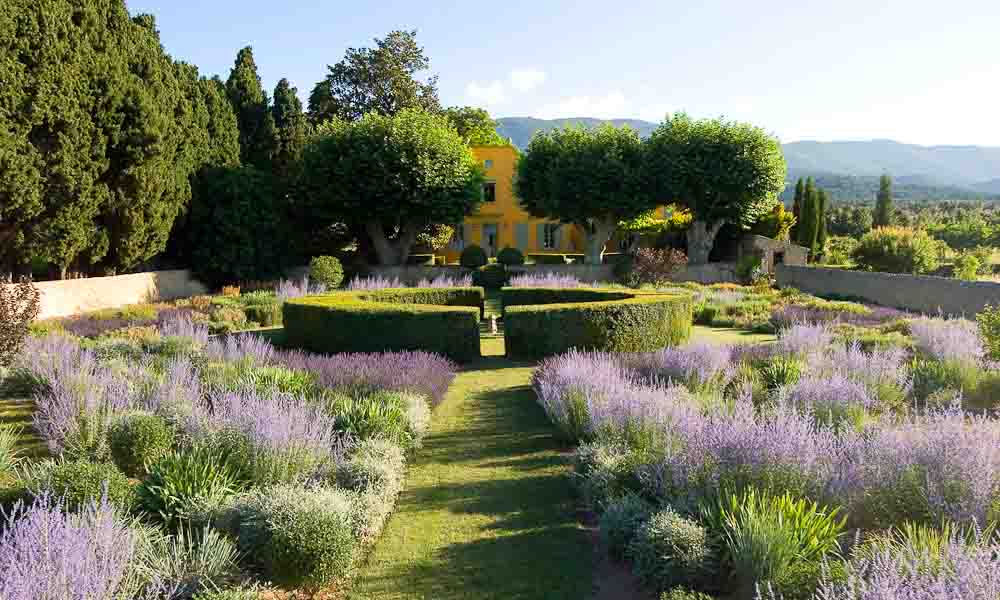 jardin-a-la-francaise-contemporain-du-pavillon-de-galon-en-provence-classe-jardin-remarquable-en-2010.jpg